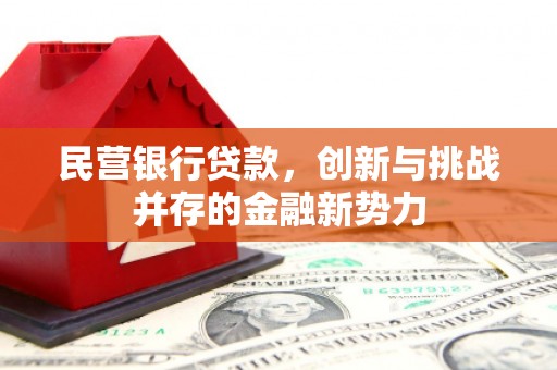 鲅鱼圈民营银行贷款，创新与挑战并存的金融新势力