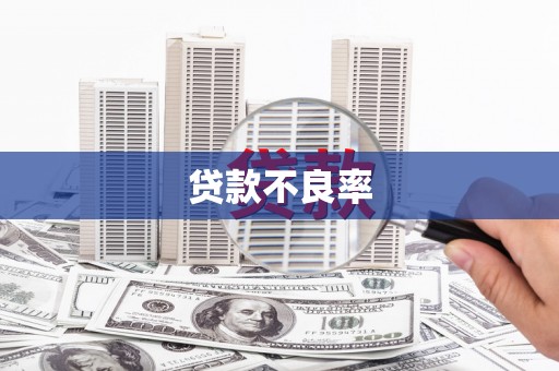 鲅鱼圈贷款不良率