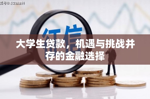 鲅鱼圈大学生贷款，机遇与挑战并存的金融选择