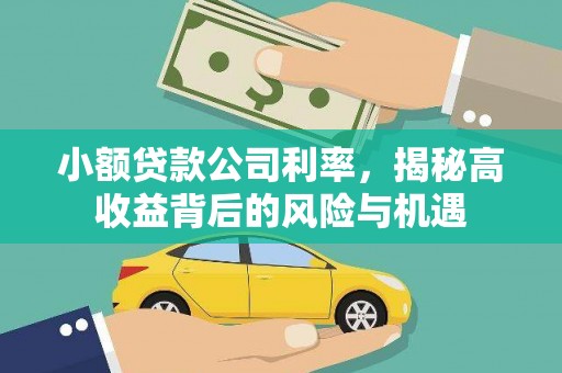 鲅鱼圈小额贷款公司利率，揭秘高收益背后的风险与机遇