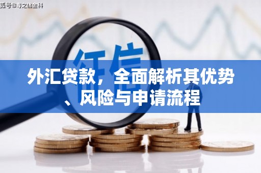 鲅鱼圈外汇贷款，全面解析其优势、风险与申请流程