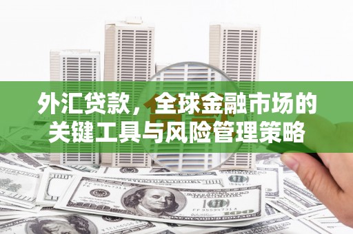 鲅鱼圈外汇贷款，全球金融市场的关键工具与风险管理策略