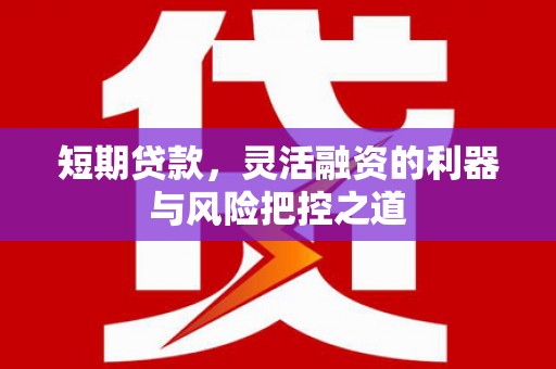 鲅鱼圈短期贷款，灵活融资的利器与风险把控之道
