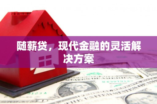 鲅鱼圈随薪贷，现代金融的灵活解决方案