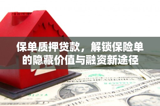 鲅鱼圈保单质押贷款，解锁保险单的隐藏价值与融资新途径