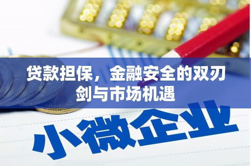 鲅鱼圈贷款担保，金融安全的双刃剑与市场机遇