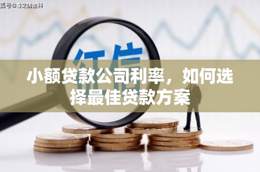 鲅鱼圈小额贷款公司利率，如何选择最佳贷款方案