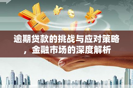 鲅鱼圈逾期贷款的挑战与应对策略，金融市场的深度解析