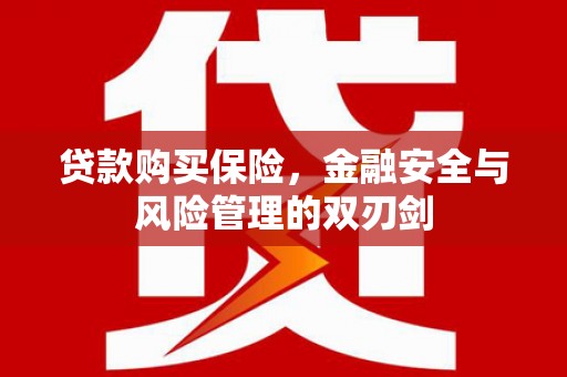 鲅鱼圈贷款购买保险，金融安全与风险管理的双刃剑