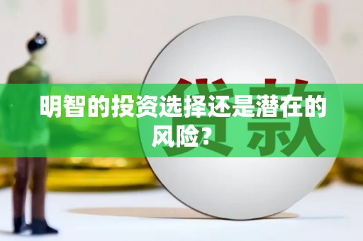 鲅鱼圈明智的投资选择还是潜在的风险？