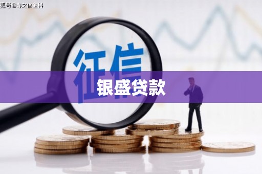 鲅鱼圈银盛贷款