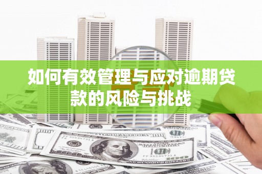 鲅鱼圈如何有效管理与应对逾期贷款的风险与挑战