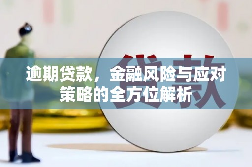 鲅鱼圈逾期贷款，金融风险与应对策略的全方位解析
