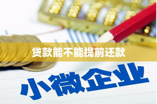 鲅鱼圈贷款能不能提前还款