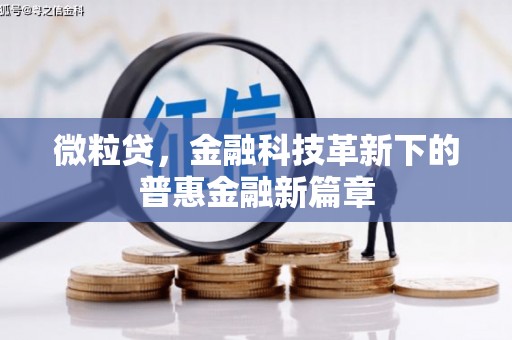 鲅鱼圈微粒贷，金融科技革新下的普惠金融新篇章