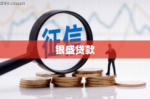 鲅鱼圈银盛贷款