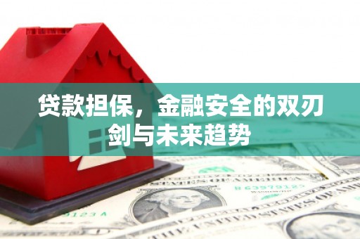 鲅鱼圈贷款担保，金融安全的双刃剑与未来趋势