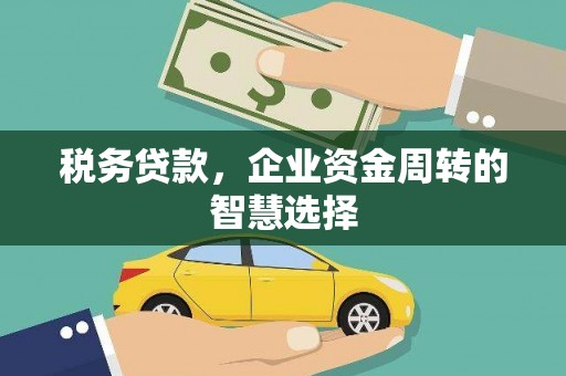 鲅鱼圈税务贷款，企业资金周转的智慧选择