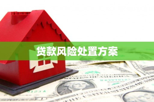 鲅鱼圈贷款风险处置方案