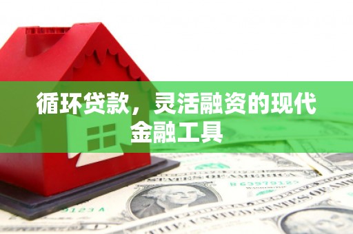 鲅鱼圈循环贷款，灵活融资的现代金融工具
