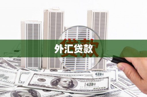 鲅鱼圈外汇贷款