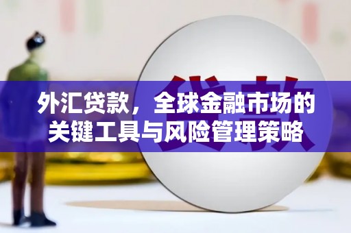 鲅鱼圈外汇贷款，全球金融市场的关键工具与风险管理策略