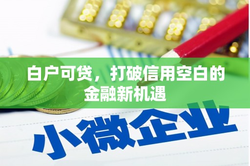 鲅鱼圈白户可贷，打破信用空白的金融新机遇