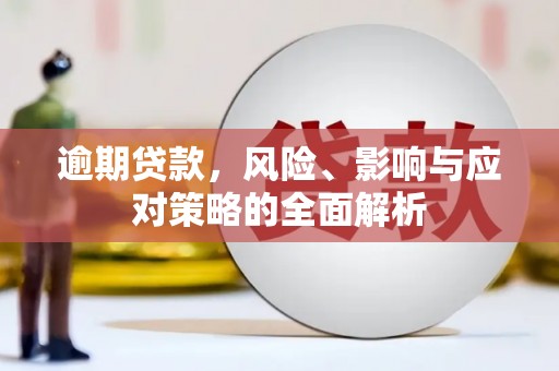 鲅鱼圈逾期贷款，风险、影响与应对策略的全面解析