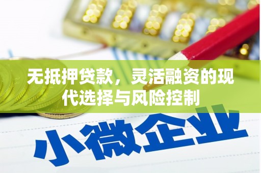 鲅鱼圈无抵押贷款，灵活融资的现代选择与风险控制