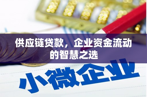 鲅鱼圈供应链贷款，企业资金流动的智慧之选