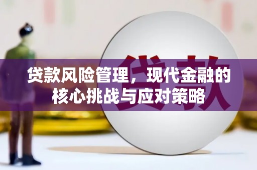 鲅鱼圈贷款风险管理，现代金融的核心挑战与应对策略