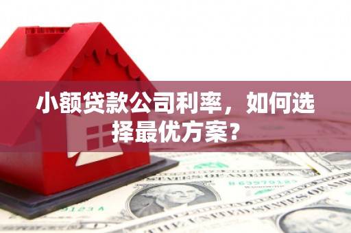 鲅鱼圈小额贷款公司利率，如何选择最优方案？