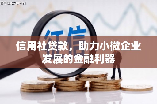 鲅鱼圈信用社贷款，助力小微企业发展的金融利器