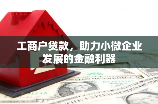 鲅鱼圈工商户贷款，助力小微企业发展的金融利器