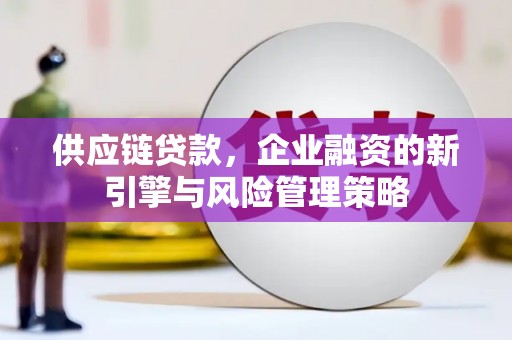 鲅鱼圈供应链贷款，企业融资的新引擎与风险管理策略