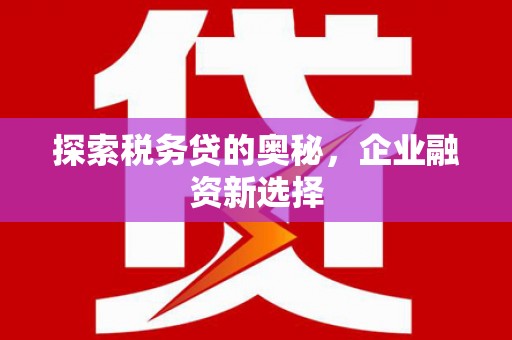 鲅鱼圈探索税务贷的奥秘，企业融资新选择
