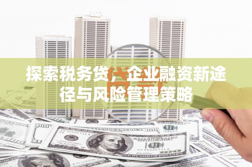 鲅鱼圈探索税务贷，企业融资新途径与风险管理策略