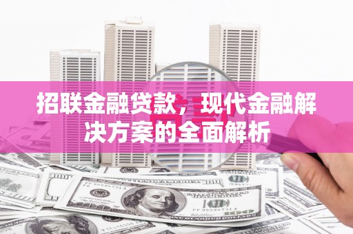 鲅鱼圈招联金融贷款，现代金融解决方案的全面解析