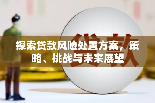鲅鱼圈探索贷款风险处置方案，策略、挑战与未来展望