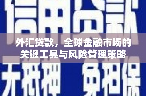鲅鱼圈外汇贷款，全球金融市场的关键工具与风险管理策略