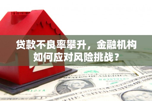 鲅鱼圈贷款不良率攀升，金融机构如何应对风险挑战？