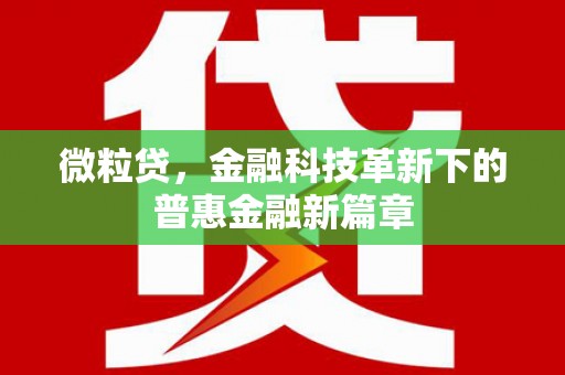 鲅鱼圈微粒贷，金融科技革新下的普惠金融新篇章