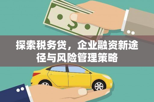 鲅鱼圈探索税务贷，企业融资新途径与风险管理策略