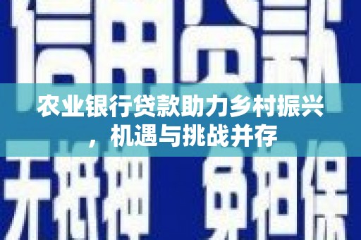 鲅鱼圈农业银行贷款助力乡村振兴，机遇与挑战并存