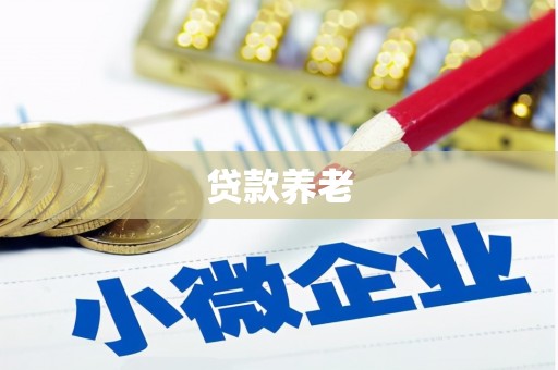 鲅鱼圈贷款养老