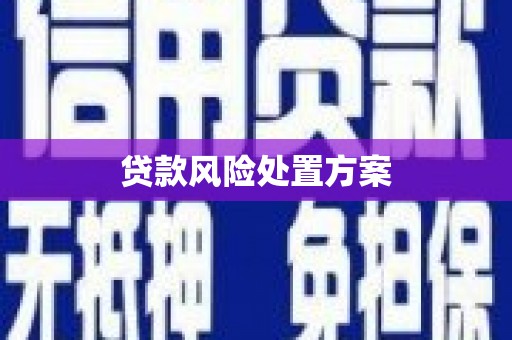 鲅鱼圈贷款风险处置方案