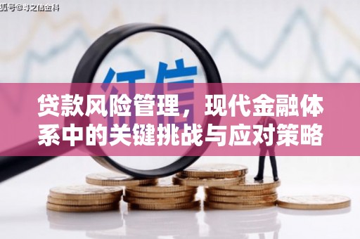 鲅鱼圈贷款风险管理，现代金融体系中的关键挑战与应对策略