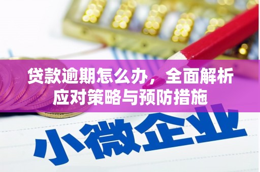 鲅鱼圈贷款逾期怎么办，全面解析应对策略与预防措施