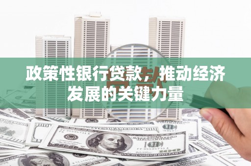 鲅鱼圈政策性银行贷款，推动经济发展的关键力量
