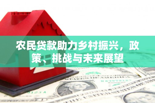 鲅鱼圈农民贷款助力乡村振兴，政策、挑战与未来展望